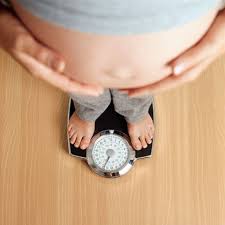 pregnancy weight